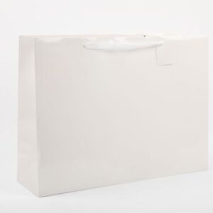 White Horizontal BAG 55*40*15